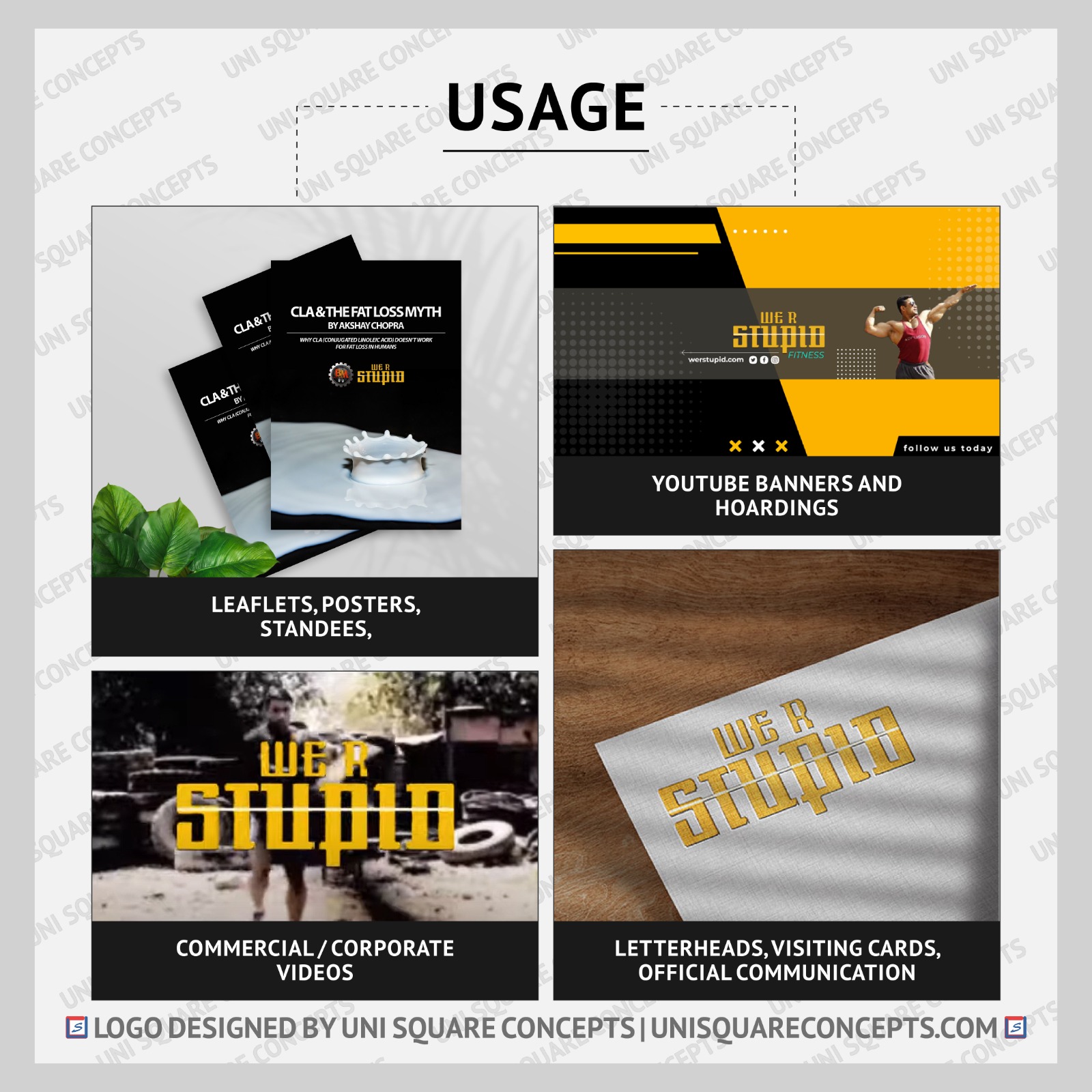 We R Stupid: Logo Usage