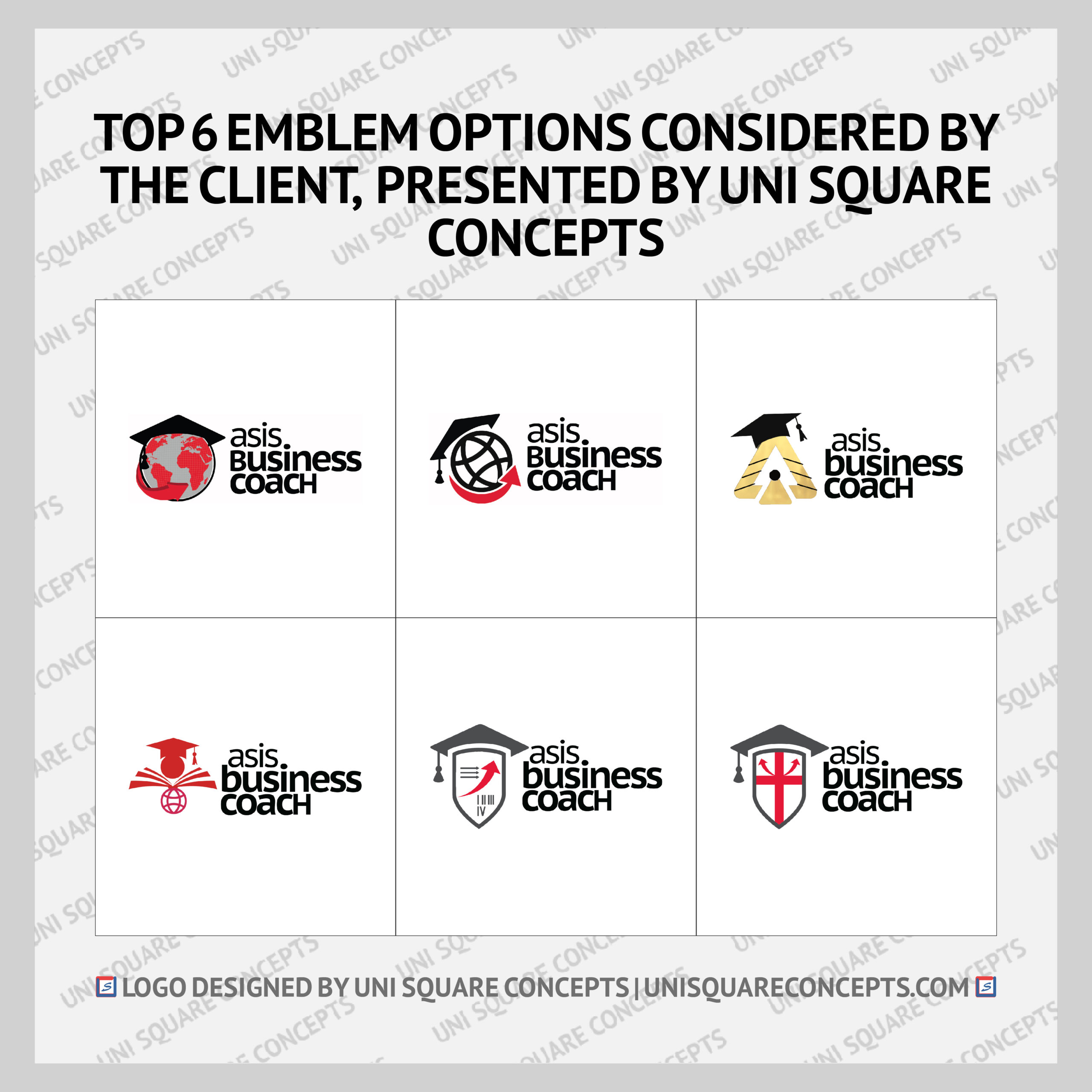 Asis Business Coach: Emblem Options